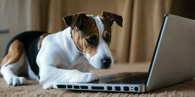 un Jack Russell terrier mirando a un ordenador portátil. generar ai foto