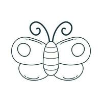 Vector hand drawn butterfly doodle illustration