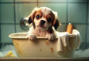 Cute puppy dog in bathtub , pets cleaning, studio shot. Generate Ai. photo