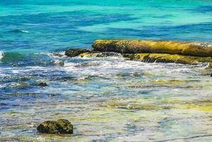 Stones rocks corals turquoise green blue water on beach Mexico. photo