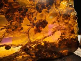 The Hidden Universe in a Piece of Amber photo