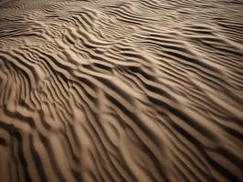 susurros de el viento en Desierto playa foto