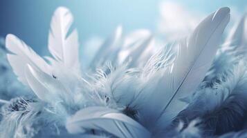 a bright blue background with one white feather, in the style of soft and dreamy pastels, glimmering light effects, nature inspired imagery, fairycore, soft focal points, photo