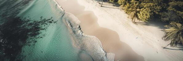 bhanner tamaño. ver desde arriba, maravilloso aéreo ver de palmas en el arenoso playa. tropical paisaje, azul agua, olas generativo foto