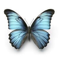 beautiful wings of a blue butterfly isolated on a white background, generate ai photo