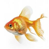 goldfish isolated on white background, generate ai photo