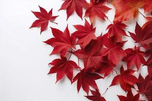 red maple leaves isolated on white background, generate ai photo