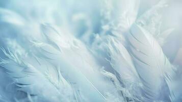 a bright blue background with one white feather, in the style of soft and dreamy pastels, glimmering light effects, nature inspired imagery, fairycore, soft focal points, generate ai photo