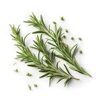 Fresh green organic rosemary leaves and pepper isolated on white background. natural transparent shadow, Ingredient, spice for cooking. collection for design, generate ai photo