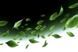 Green basil leaves with Clipping paths, full depth of field. Fresh red basil herb leaves isolated on white background. Purple Dark Opal Basil. Focus stacking, generate ai photo