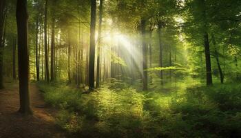 Beautiful rays of sunlight in a green forest, generate ai photo