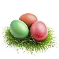 Easter eggs in green grass isolated on white background, generate ai photo