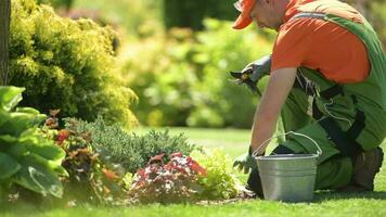 Gardener in His 30s Trimming Unnecessary Plants Branches. Garden Work. video