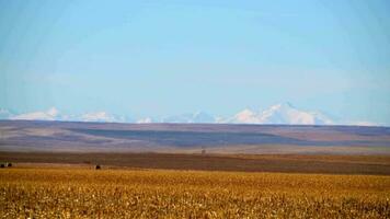 Etat de Colorado plaines. brut Colorado paysage dans novembre. rocheux montagnes couvert par neige sur le horizon video