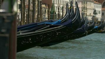 schwingen venezianisch Gondeln im das Venedig, Italien. Nahansicht Video. video