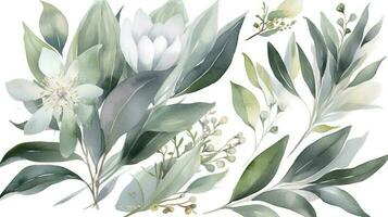 Watercolor botanical green leaves frame illustration isolated, generate ai photo