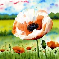 Summer concept. Beautiful watercolor Poppies. A radiant Poppies. Natures Beauty. photo