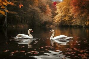 fotografía de un par de cisnes graciosamente deslizamiento en un tranquilo lago, su cuellos esmeradamente entrelazados a formar un Perfecto corazón forma , generar ai foto