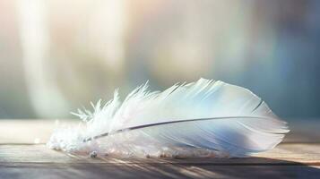 a bright blue background with one white feather, in the style of soft and dreamy pastels, glimmering light effects, nature inspired imagery, fairycore, soft focal points, generate ai photo