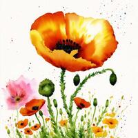 Summer concept. Beautiful watercolor Poppies. A radiant Poppies. Natures Beauty. photo