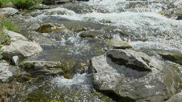 fechar-se em a montanha rio. cristal Claro água fluxo dentro lento movimento video