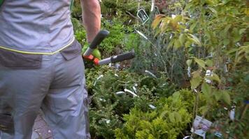 jardineiro com ampla tesouras caminhando cocho a jardim departamento video