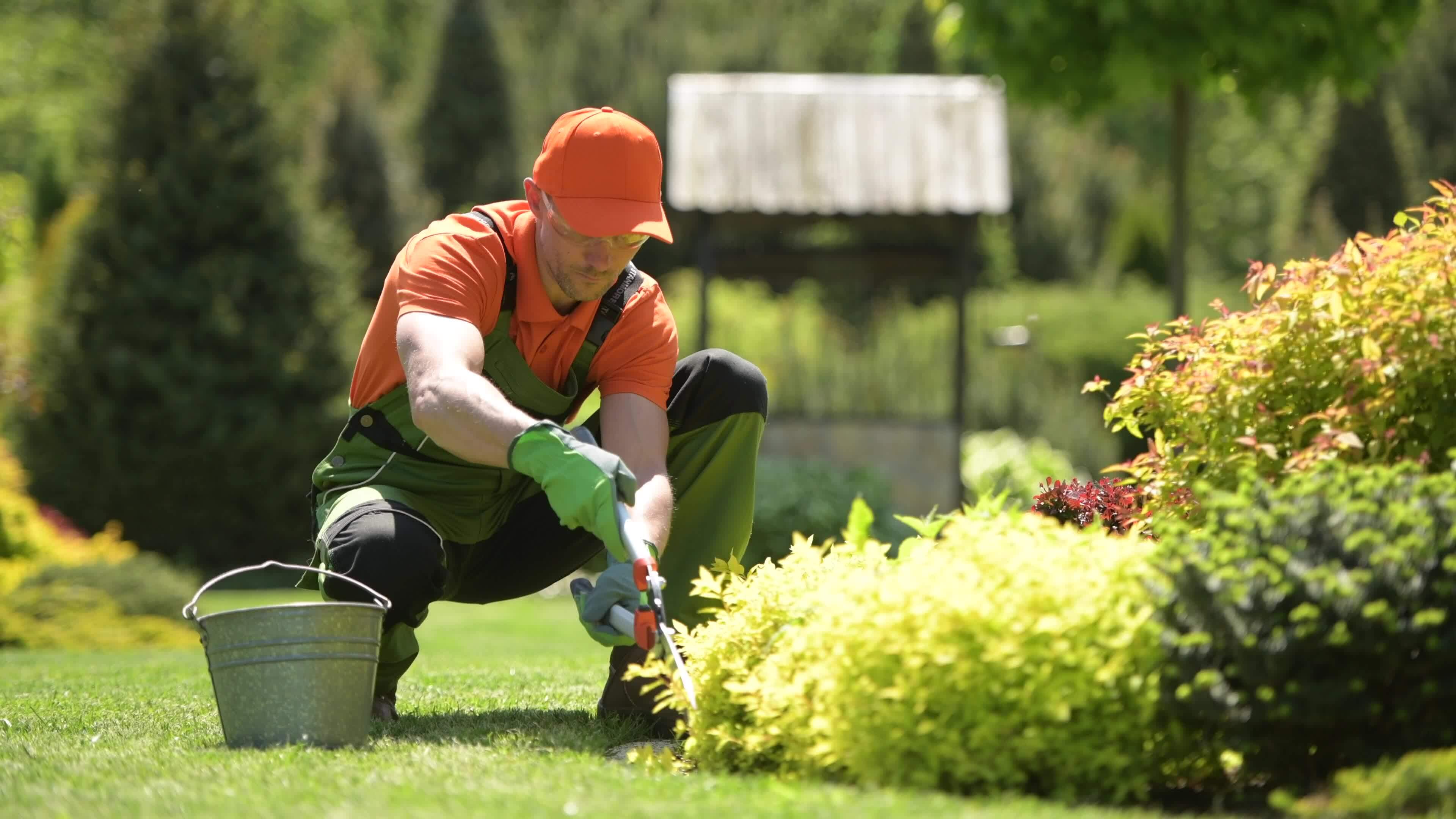 professional gardener