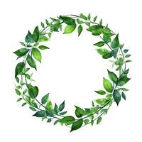 Green leaves watercolor wreath isolated. Illustration photo