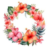 Watercolor tropical wreath isolated. Illustration photo