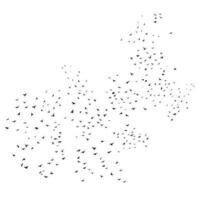 Sketch drawing of a silhouette of a flock of birds flying forward, cling together. Takeoff, flying, flight, flutter, hover, soaring, landing vector