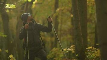 autunno fogliame trailhead. caucasico zaino in spalla guardare su e godendo il momento. video