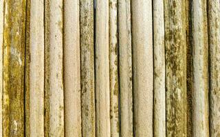 bambú madera pared y portón textura en puerto escondido México. foto