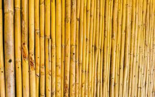 bambú madera pared y portón textura en puerto escondido México. foto