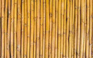 Bamboo Wood Wall and Gate Texture in Puerto Escondido Mexico. photo