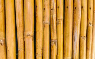 Bamboo Wood Wall and Gate Texture in Puerto Escondido Mexico. photo