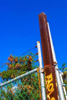 tropical selva bosque naturaleza adjunto cercado detrás barras en México. foto