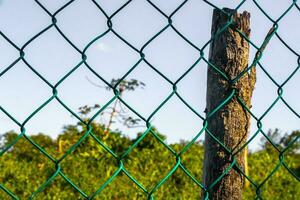 Tropical Jungle Forest Nature Enclosed Fenced Behind Bars in Mexico. photo