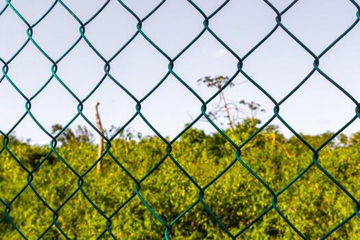 tropical selva bosque naturaleza adjunto cercado detrás barras en México. foto