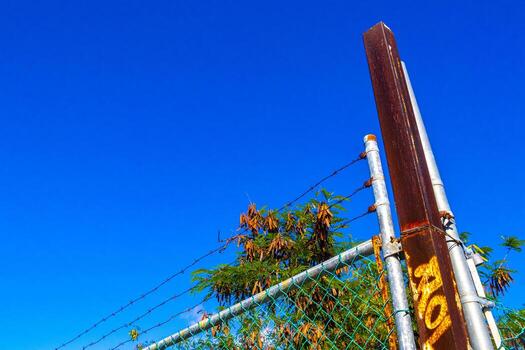 tropical selva bosque naturaleza adjunto cercado detrás barras en México. foto