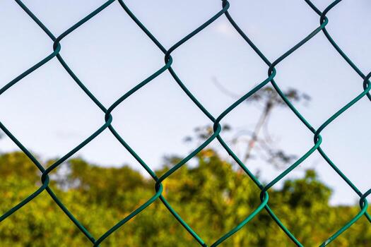 tropical selva bosque naturaleza adjunto cercado detrás barras en México. foto