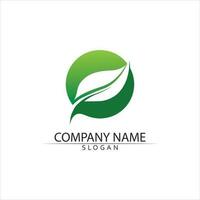 Tree leaf vector and green logo design friendly concept