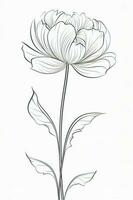 Poppy flowers in continuous line art drawing style. Doodle floral border with two flowers blooming among grass. Minimalist black linear design isolated on white background, generate ai photo