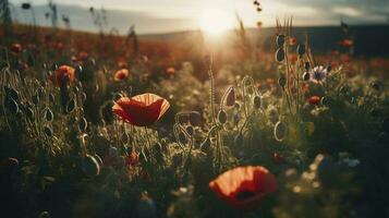 A stunning photo captures the golden hour in a field of radiant red poppies, symbolizing the beauty, resilience, and strength of nature, generate ai