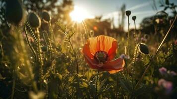 A stunning photo captures the golden hour in a field of radiant red poppies, symbolizing the beauty, resilience, and strength of nature, generate ai