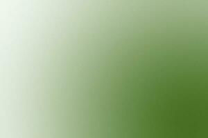 White and Green Gradient Background with Grainy Texture photo