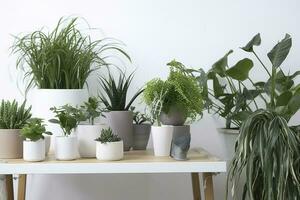 verde plantas de interior en ollas y riego lata en de madera mesa cerca blanco pared , generar ai foto