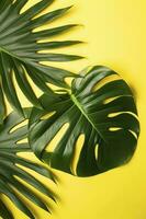 Beautiful tropical palm monstera leaves branch isolated on pastel yellow background, top view, flat lay, overhead above summer beauty blank design concept , generate ai photo