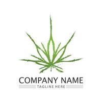 cannabis logo and marijuana leaf icon vector