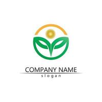 Tree leaf vector and green logo design friendly concept