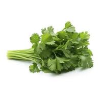fresh cilantro coriander isolated on white background, generate ai photo